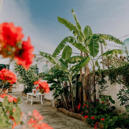 Masseria Agriturismo Il Sorriso Degli Ulivi - Dimora Di Charme غالّيبولي المظهر الخارجي الصورة