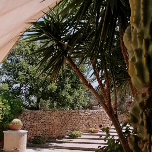 Masseria Agriturismo Il Sorriso Degli Ulivi - Dimora Di Charme غالّيبولي المظهر الخارجي الصورة
