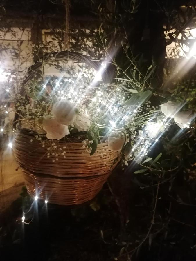 Masseria Agriturismo Il Sorriso Degli Ulivi - Dimora Di Charme غالّيبولي المظهر الخارجي الصورة