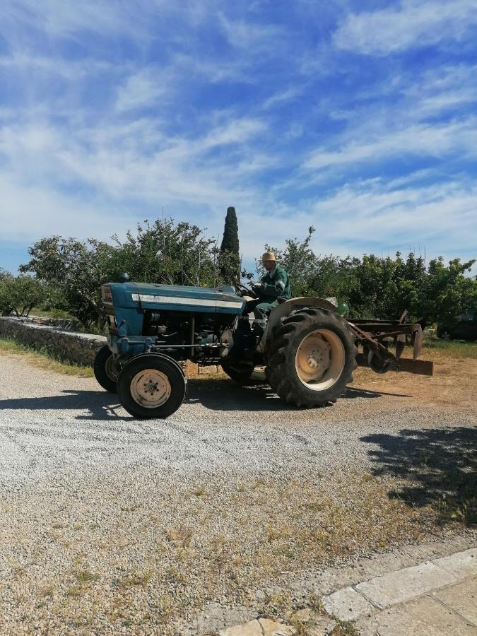 Masseria Agriturismo Il Sorriso Degli Ulivi - Dimora Di Charme غالّيبولي المظهر الخارجي الصورة