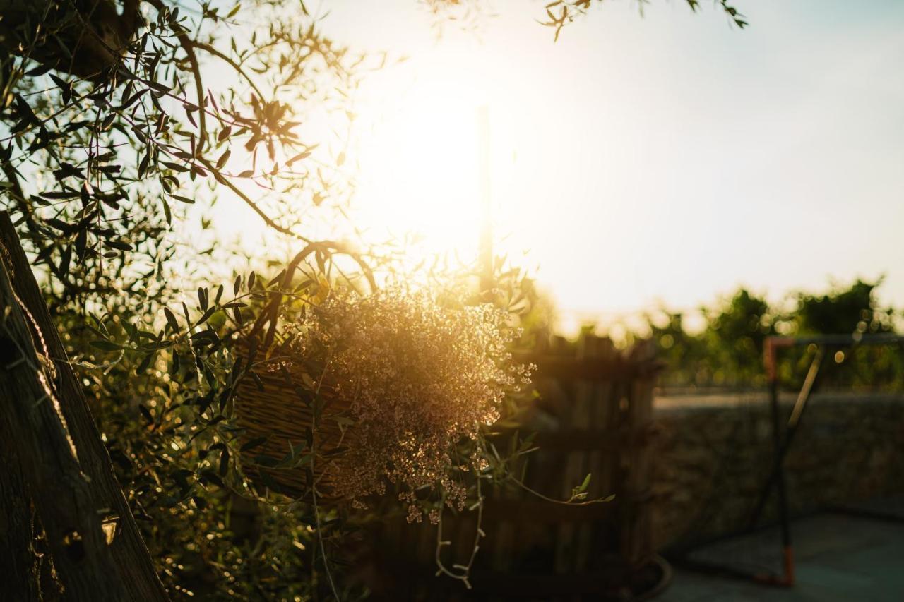 Masseria Agriturismo Il Sorriso Degli Ulivi - Dimora Di Charme غالّيبولي المظهر الخارجي الصورة