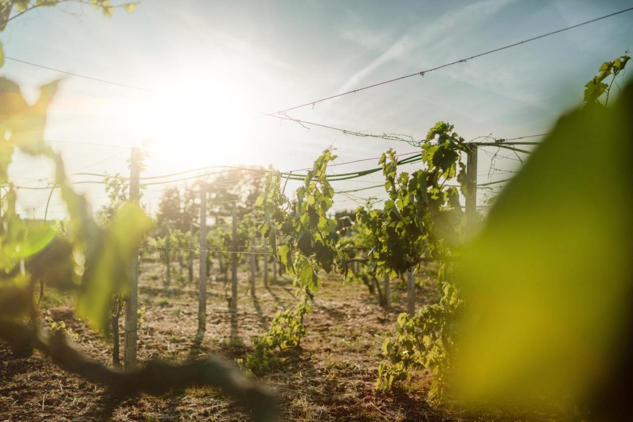 Masseria Agriturismo Il Sorriso Degli Ulivi - Dimora Di Charme غالّيبولي المظهر الخارجي الصورة