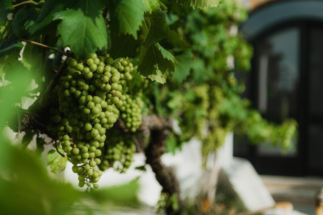 Masseria Agriturismo Il Sorriso Degli Ulivi - Dimora Di Charme غالّيبولي المظهر الخارجي الصورة